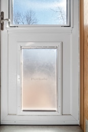 P4264413