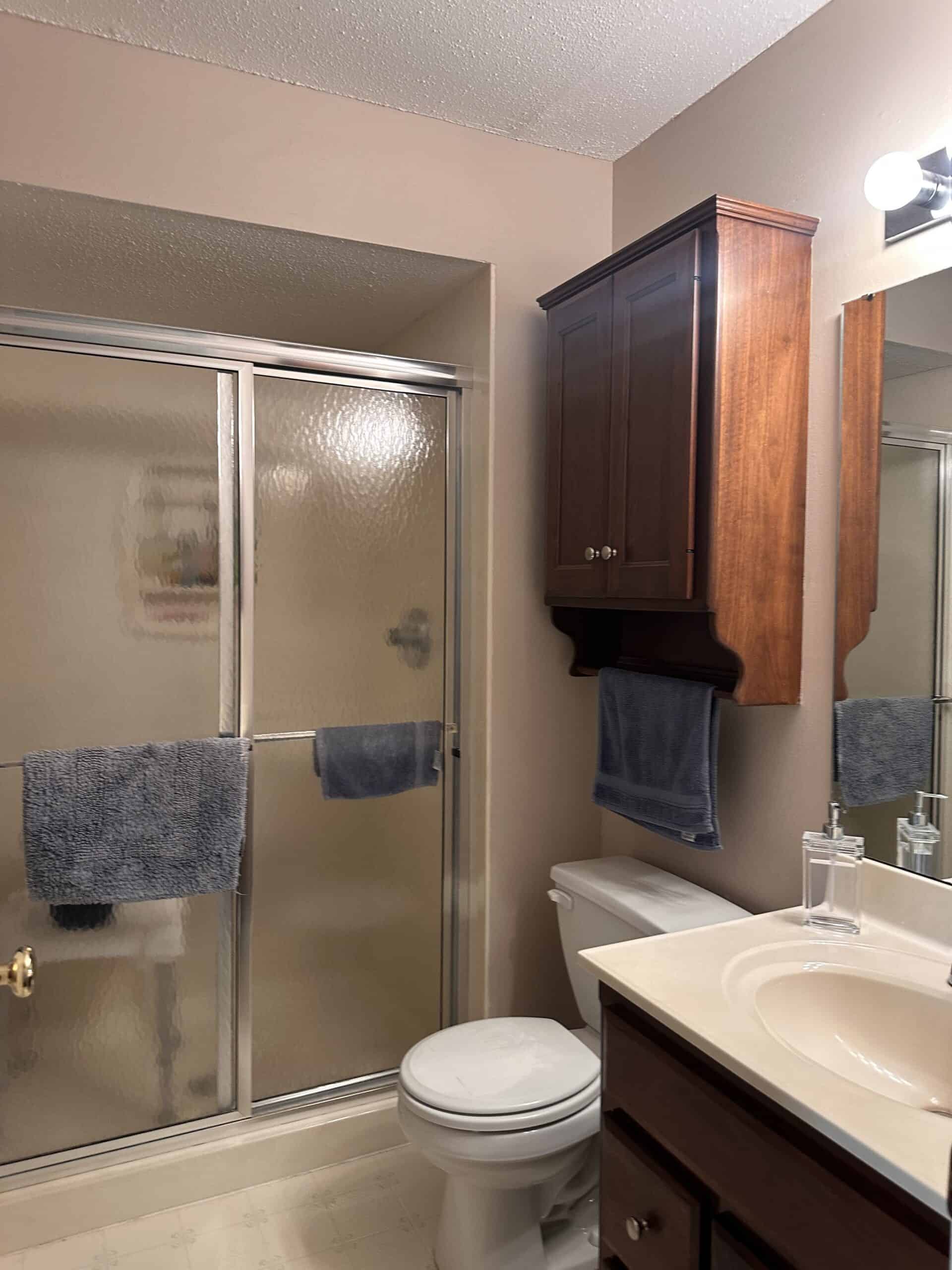 Bathroom Before 2