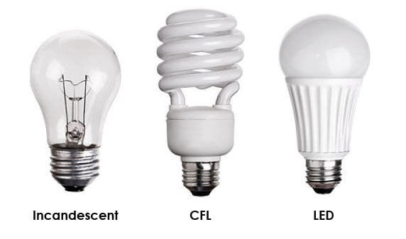your lightbulb choices